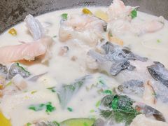 -鲜潭蒸汽石锅鱼(五道口购物中心店)