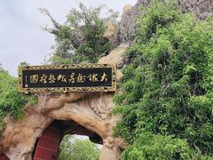 -大槐树寻根祭祖园