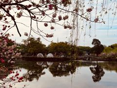 -无锡蠡湖国家湿地公园-蠡园
