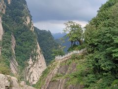 -洛阳白云山景区