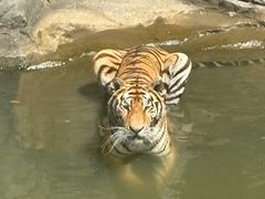 -宁波野生动物园