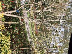 -昆山城市生态森林公园