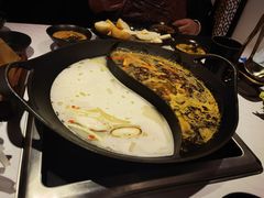 红油梭边鱼-新辣道鱼火锅(航天万源店)