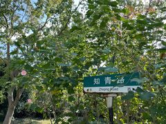 -同里国家湿地公园