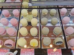-西树泡芙(北京金源2店)