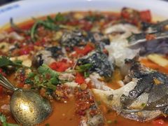 -坛宗剁椒鱼头(河西王府井店)