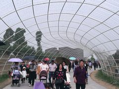 -秀丽东方