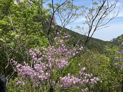 -天柱山风景区