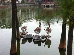 -东莞市可园博物馆