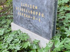 -马王堆汉墓遗址