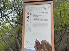 -北京鹫峰国家森林公园