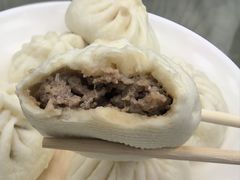 土猪肉包-四平包子铺