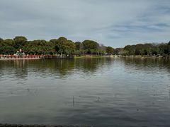 -上海鲜花港