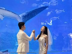 -烟台海昌鲸鲨海洋公园