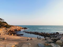 -广东惠东海龟国家级自然保护区