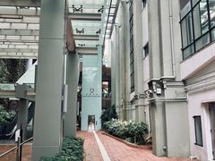-香港大学