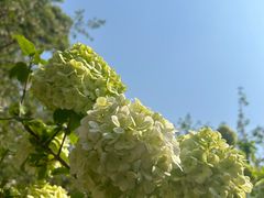 -南山植物园