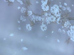 -华夏良子·足道SPA养生(上海崮山路明悦店)