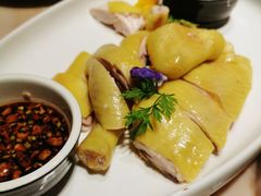 -滋粥楼·顺德菜(番禺广场总店)
