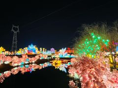-淄博花灯齐彩城