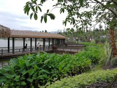 -枫香湖儿童公园