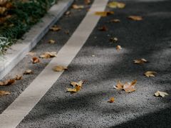 -河南省黄河迎宾馆