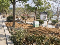 -东钱湖小普陀景区
