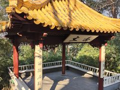 -北极阁公园