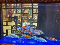 景观位-庐州太太(鼓楼店)