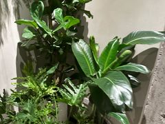 -漾花汐·西餐·下午茶(苏州湾歌林公园店)