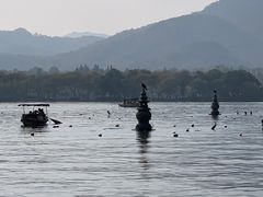 -西湖外事游船(花港观鱼码头)