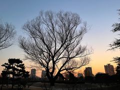 -莲花池公园