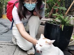 -南八仙·老上海味道(南京东路店)