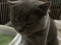 -VT101维多利广场
