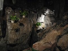 大堂-凯撒城堡西餐厅(颐和国际店)