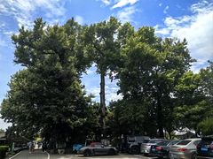 -乌石村