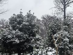 -南京东郊国宾馆