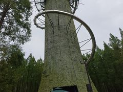 -黄海国家森林公园