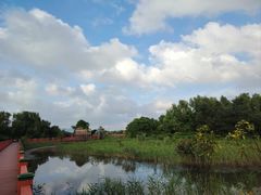-芒洲湿地公园