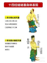 -香薇妮丝女子减肥院