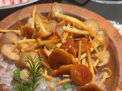 -季季山·云南野生菌火锅(上海首店)