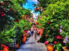 -The Grounds of Alexandria