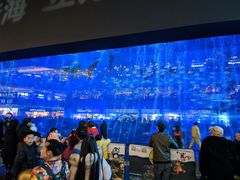 -成都浩海立方海洋公园