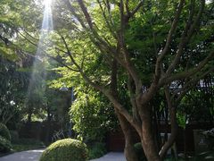 -静安公园(静安寺街道)