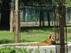 -秦皇岛野生动物园