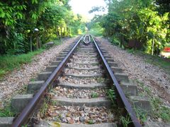 -武吉知马自然保护区