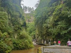-汤旺河林海奇石景区