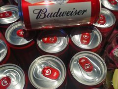 -百威盛宴自助KTV(大北路店)