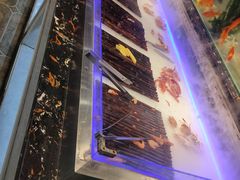 -韩丰源海鲜烤肉火锅自助餐(合肥梦之城购物中心店)