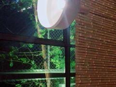 -肴约·花园式餐厅(湖里店)